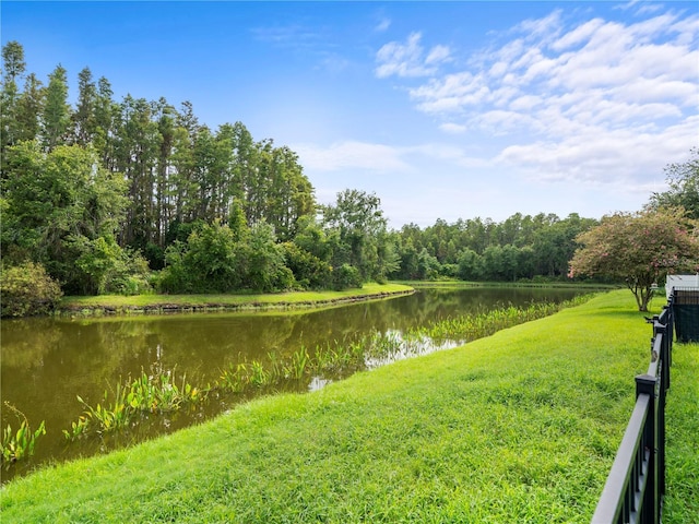 30638 Nickerson Loop, Wesley Chapel, FL 33543 - photo 32