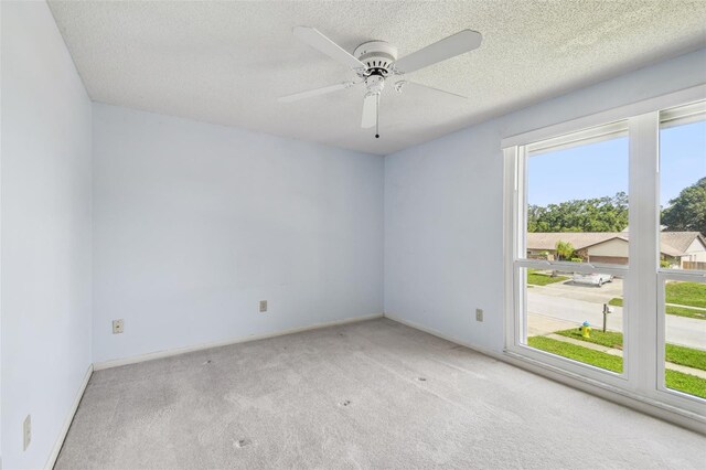 6107 Oak Fern Ct, Temple Terrace, FL 33617 - photo 39