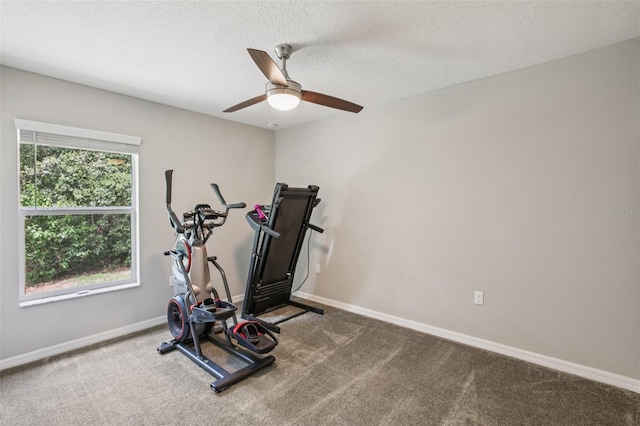 14509 Mayer Ave, Hudson, FL 34669 - exercise area featuring a ceiling fan, carpet, and a textured ceiling