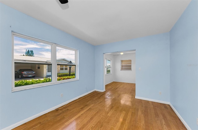 12400 Park Blvd Unit 311, Seminole, FL 33772 - photo 4