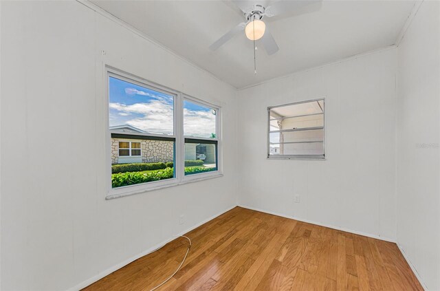 12400 Park Blvd Unit 311, Seminole, FL 33772 - photo 19