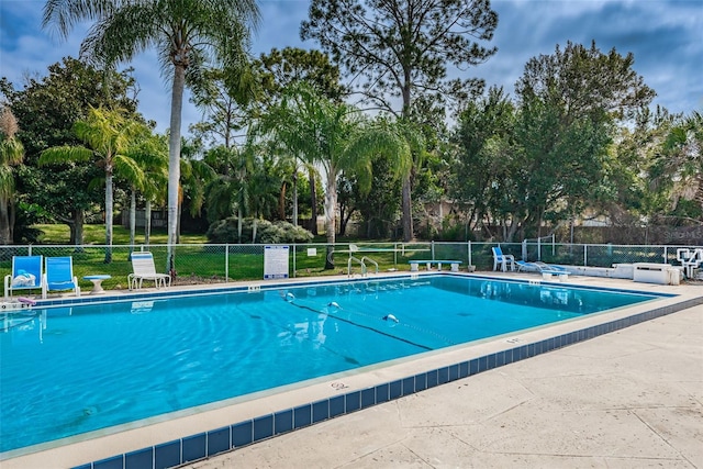 12400 Park Blvd Unit 311, Seminole, FL 33772 - photo 32