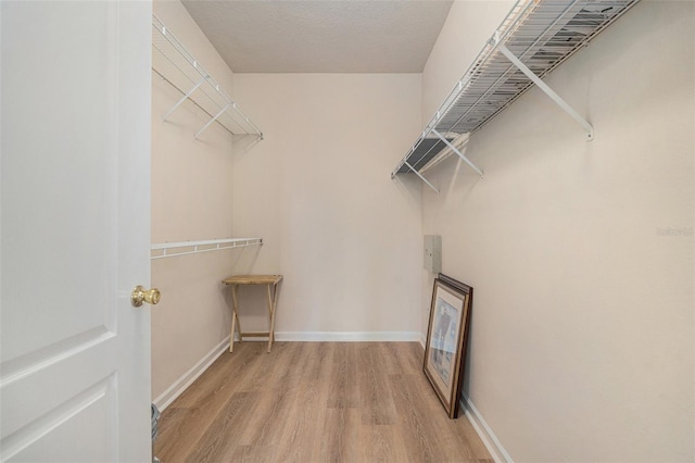 10409 Villa View Cir Unit 10409, Tampa, FL 33647 - photo 20