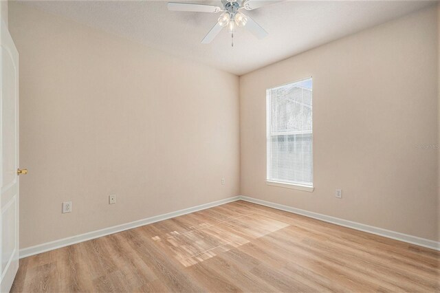 10409 Villa View Cir Unit 10409, Tampa, FL 33647 - photo 24