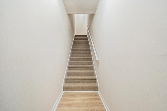 10409 Villa View Cir Unit 10409, Tampa, FL 33647 - photo 5