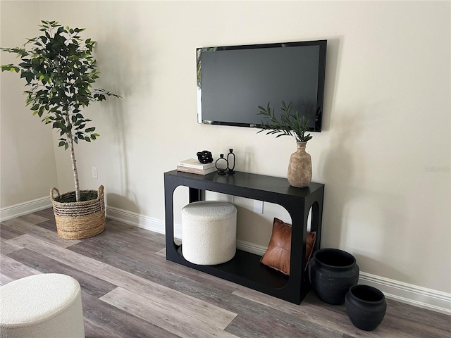 2405 W N B St Unit 1, Tampa, FL 33609 - detailed view of wood finished floors and baseboards