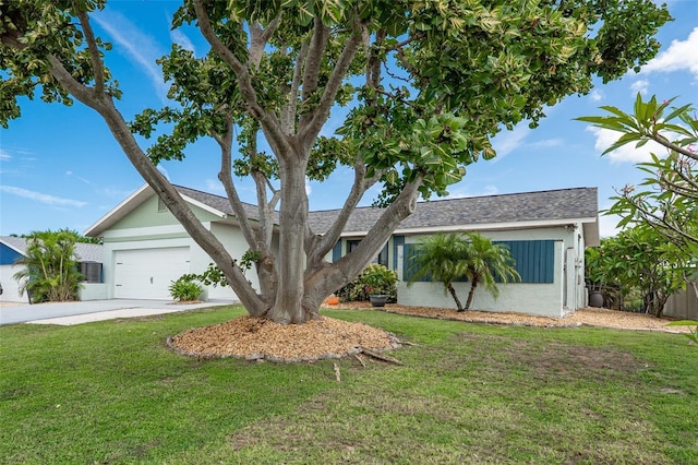 909 Silver Palm Way, Apollo Beach, FL 33572 - photo 13