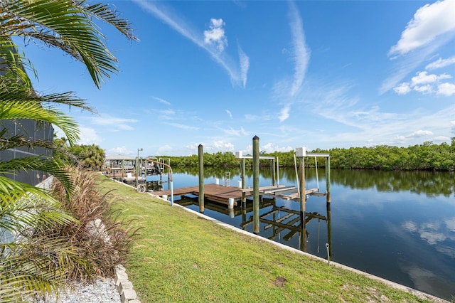 909 Silver Palm Way, Apollo Beach, FL 33572 - photo 58