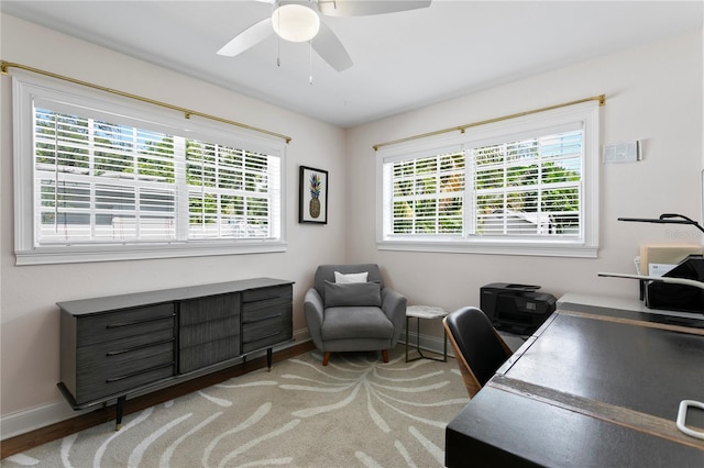 5107 W Platt St, Tampa, FL 33609 - photo 13