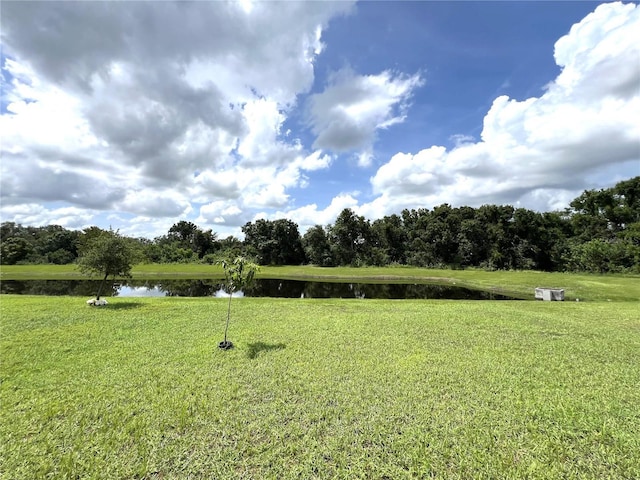 11309 Villas On The Green Dr, Riverview, FL 33579 - photo 36