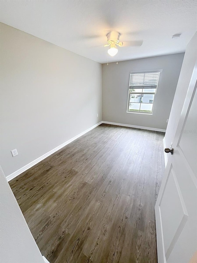 3926 Cat Mint St, Tampa, FL 33619 - photo 18