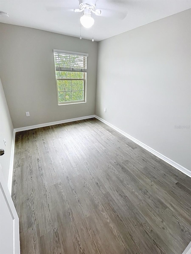 3926 Cat Mint St, Tampa, FL 33619 - photo 27