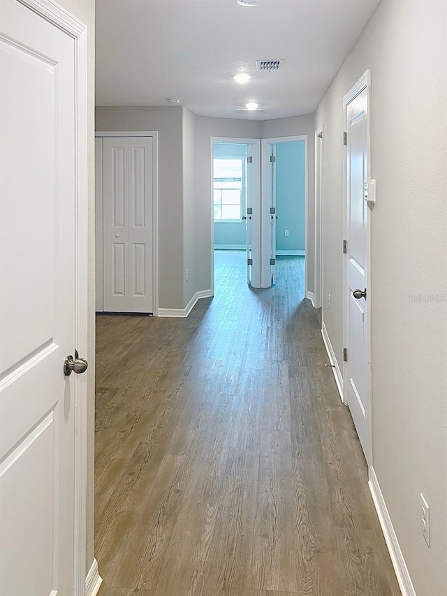 3926 Cat Mint St, Tampa, FL 33619 - photo 29