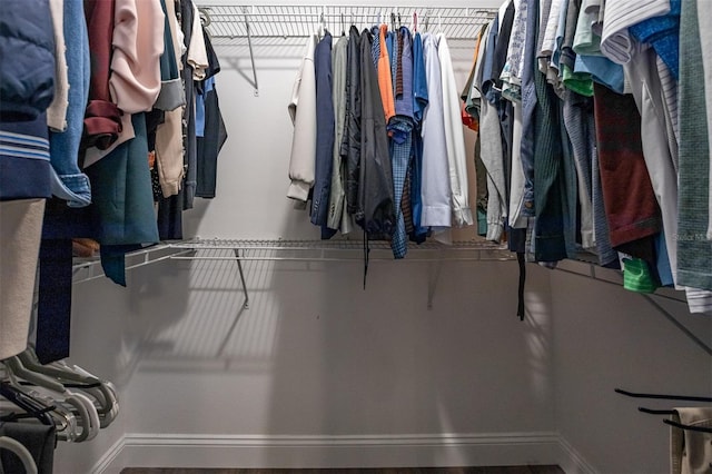 200 Gretchen Ct, Oldsmar, FL 34677 - view of spacious closet