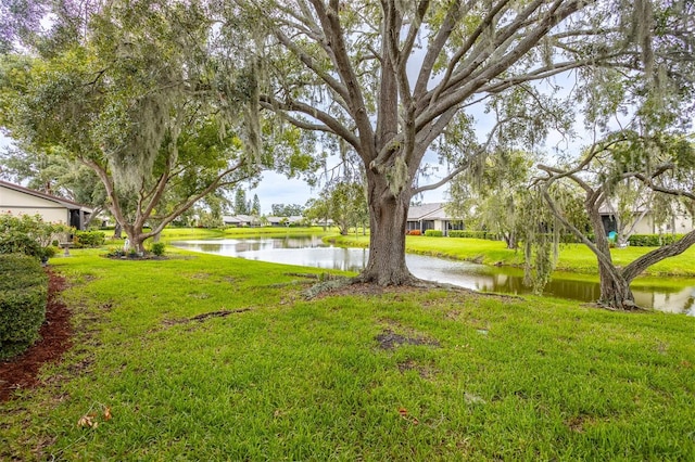 200 Gretchen Ct, Oldsmar, FL 34677 - view of green lawn with a water view