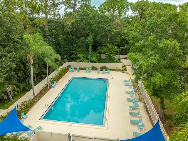 200 Gretchen Ct, Oldsmar, FL 34677 - community pool with view of scattered trees