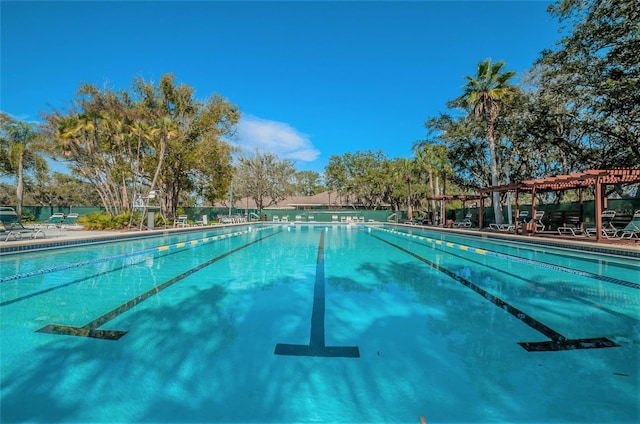 200 Gretchen Ct, Oldsmar, FL 34677 - community pool featuring a pergola