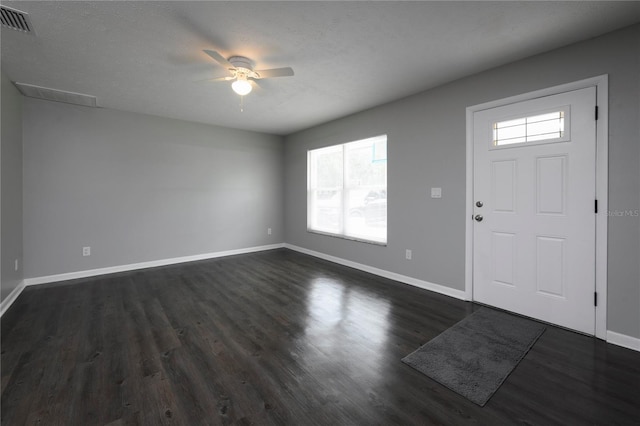 5018 Pine St, Seffner, FL 33584 - foyer with a ceiling fan, plenty of natural light, and dark wood-style flooring