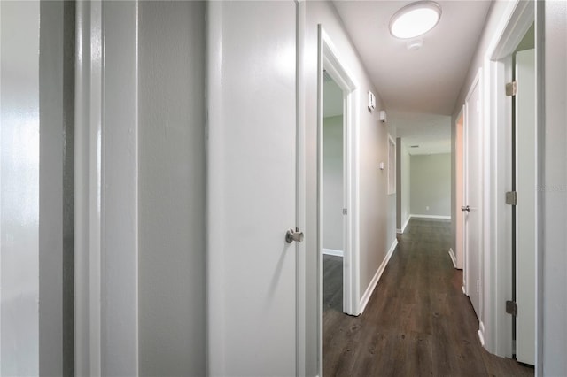 5018 Pine St, Seffner, FL 33584 - hallway featuring dark wood-style flooring and baseboards