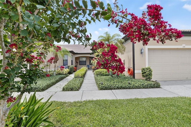 226 Shell Falls Dr, Apollo Beach, FL 33572 - photo 2
