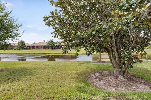 226 Shell Falls Dr, Apollo Beach, FL 33572 - photo 43