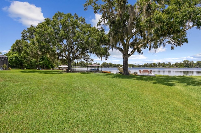 10517 Lake Williams Dr, Odessa, FL 33556 - photo 71