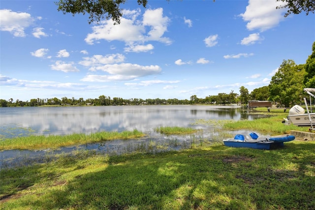 10517 Lake Williams Dr, Odessa, FL 33556 - photo 80