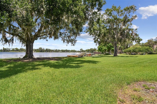 10517 Lake Williams Dr, Odessa, FL 33556 - photo 82