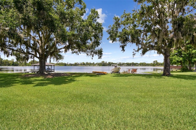 10517 Lake Williams Dr, Odessa, FL 33556 - photo 83