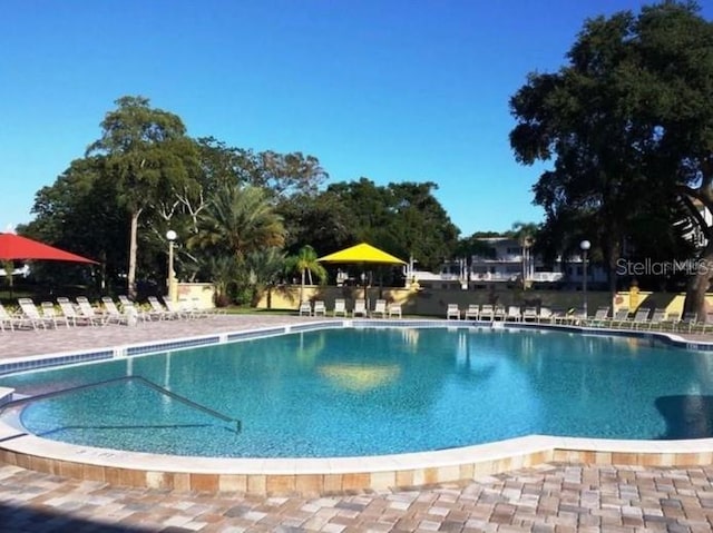 2460 Persian Dr Unit 44, Clearwater, FL 33763 - view of community pool