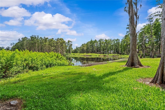210 Lake Hobbs Rd, Lutz, FL 33548 - view of green lawn with a water view