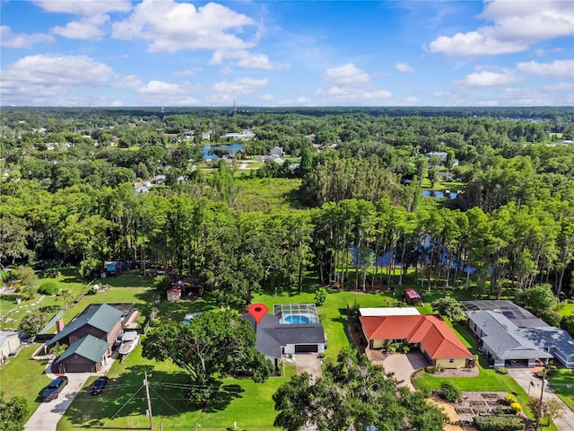 210 Lake Hobbs Rd, Lutz, FL 33548 - drone / aerial view of a large body of water
