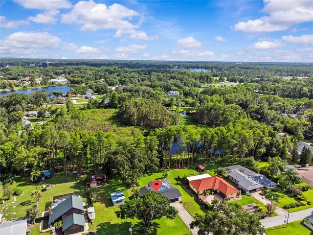 210 Lake Hobbs Rd, Lutz, FL 33548 - drone / aerial view of a large body of water and a heavily wooded area