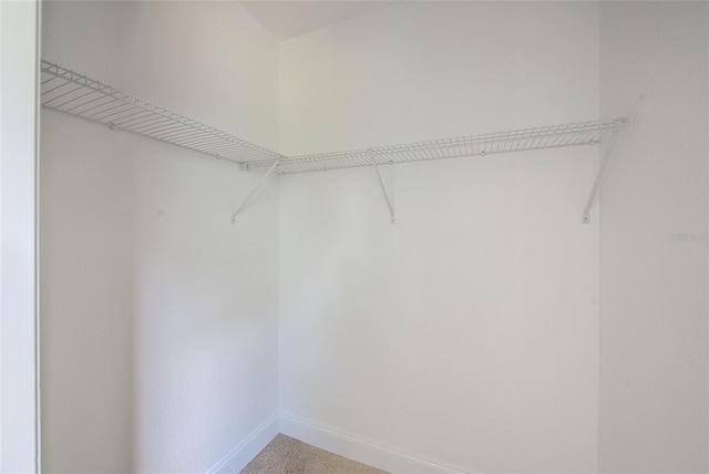 8402 Roxboro Dr, Hudson, FL 34667 - photo 25