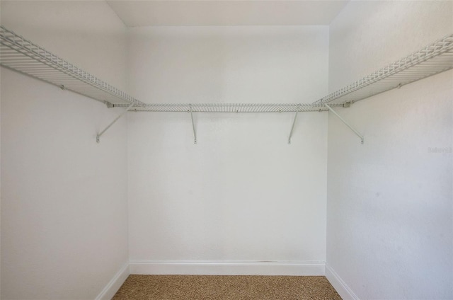 8402 Roxboro Dr, Hudson, FL 34667 - photo 29