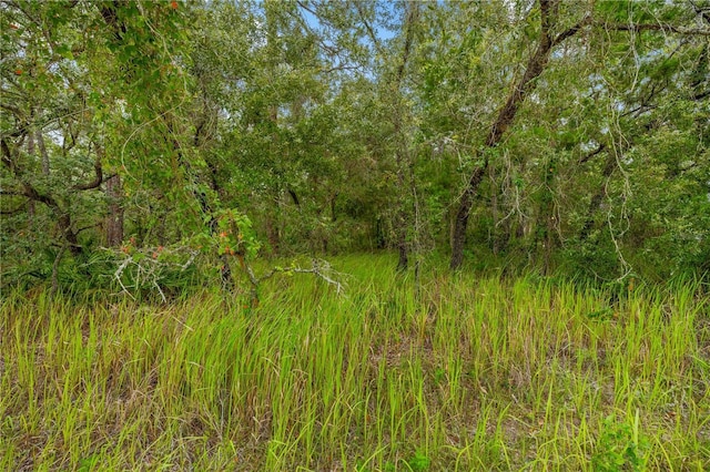 0000 Maybird Ave, Weeki Wachee, FL 34613 - photo 1