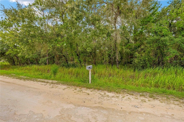 0000 Maybird Ave, Weeki Wachee, FL 34613 - photo 3