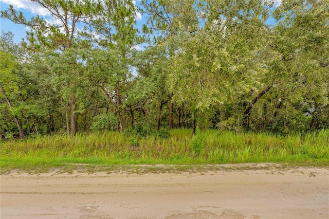 0000 Maybird Ave, Weeki Wachee, FL 34613 - photo 4