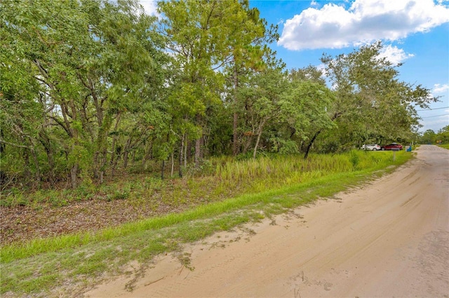 0000 Maybird Ave, Weeki Wachee, FL 34613 - photo 5