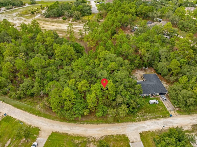 0000 Maybird Ave, Weeki Wachee, FL 34613 - photo 6