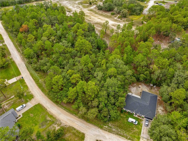 0000 Maybird Ave, Weeki Wachee, FL 34613 - photo 9