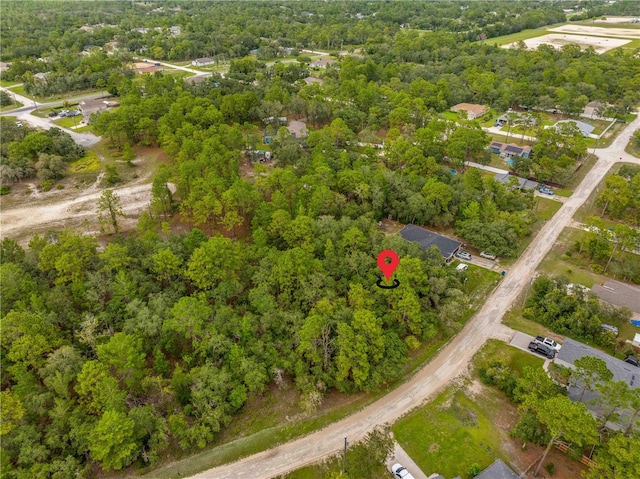 0000 Maybird Ave, Weeki Wachee, FL 34613 - photo 10