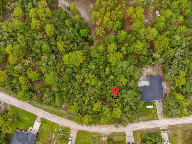 0000 Maybird Ave, Weeki Wachee, FL 34613 - photo 12