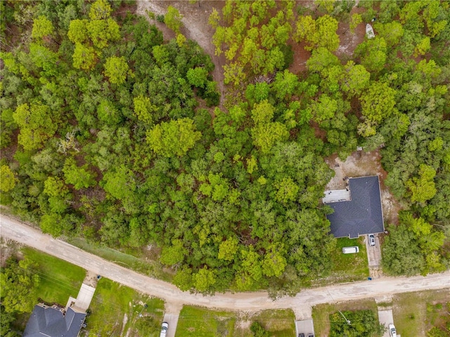 0000 Maybird Ave, Weeki Wachee, FL 34613 - photo 13