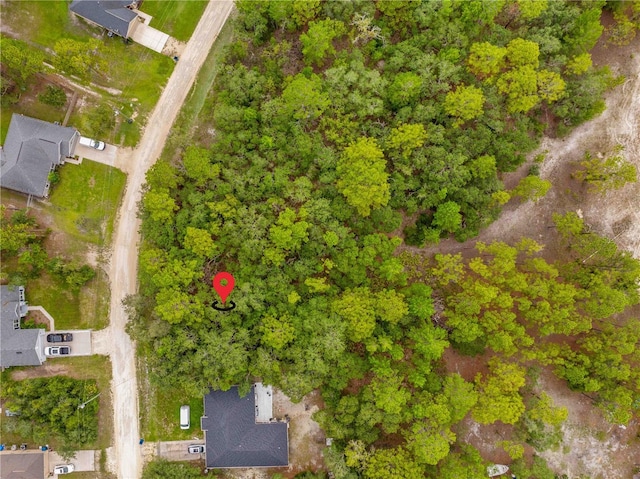 0000 Maybird Ave, Weeki Wachee, FL 34613 - photo 14