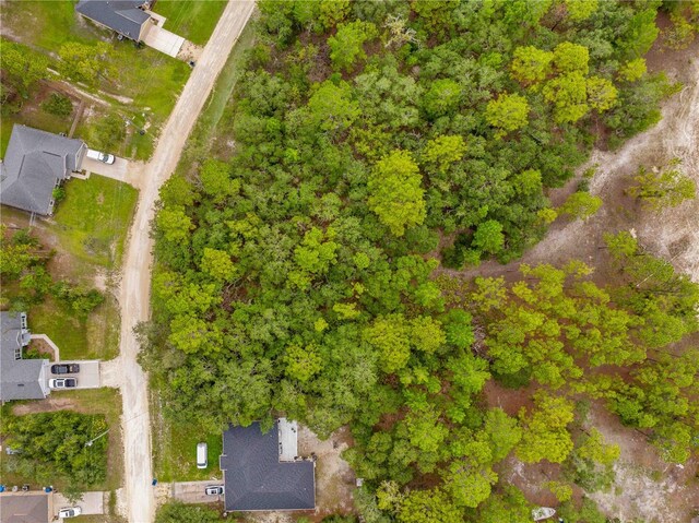 0000 Maybird Ave, Weeki Wachee, FL 34613 - photo 15