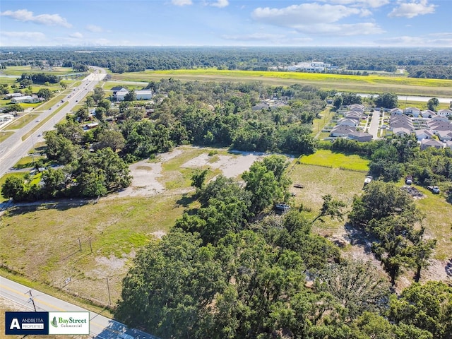 11102 N 301st Hwy, Thonotosassa, FL 33592 - photo 3
