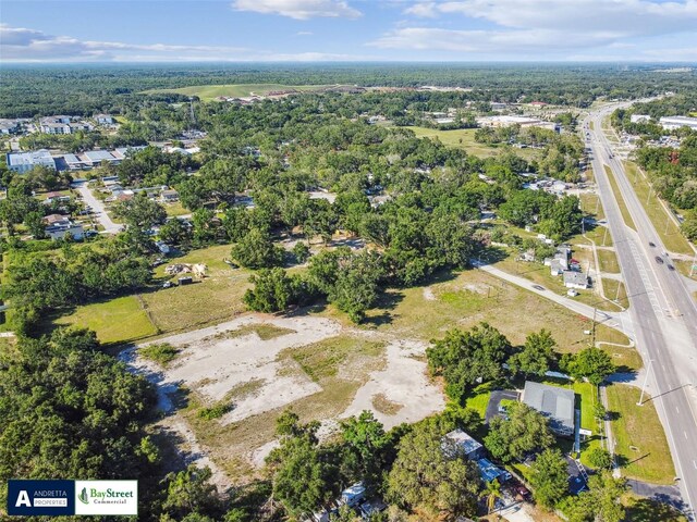 11102 N 301st Hwy, Thonotosassa, FL 33592 - photo 7