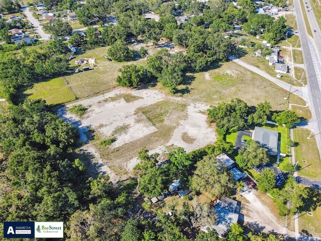 11102 N 301st Hwy, Thonotosassa, FL 33592 - photo 8
