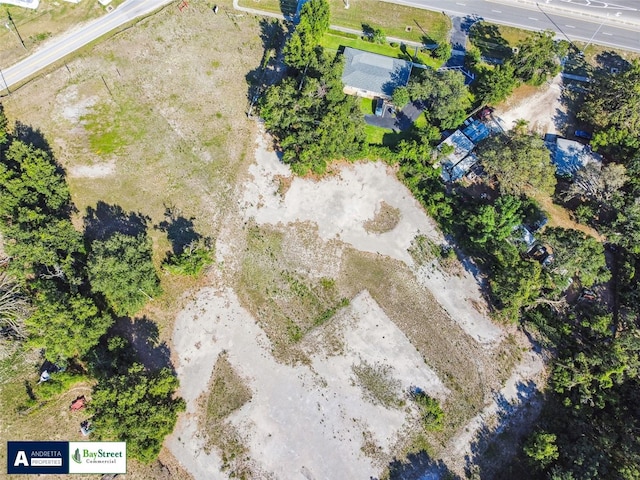 11102 N 301st Hwy, Thonotosassa, FL 33592 - photo 10